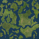 Swamp